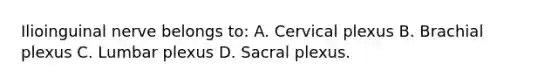 Ilioinguinal nerve belongs to: A. Cervical plexus B. Brachial plexus C. Lumbar plexus D. Sacral plexus.