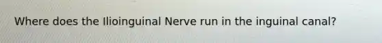 Where does the Ilioinguinal Nerve run in the inguinal canal?