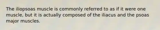 The iliopsoas muscle is commonly referred to as if it were one muscle, but it is actually composed of the iliacus and the psoas major muscles.