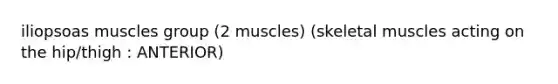 iliopsoas muscles group (2 muscles) (skeletal muscles acting on the hip/thigh : ANTERIOR)