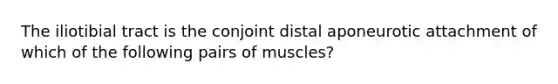 The iliotibial tract is the conjoint distal aponeurotic attachment of which of the following pairs of muscles?