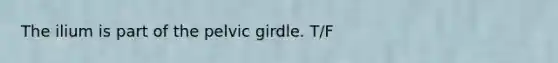 The ilium is part of the pelvic girdle. T/F