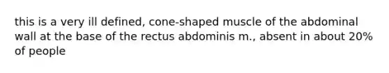 this is a very ill defined, cone-shaped muscle of the abdominal wall at the base of the rectus abdominis m., absent in about 20% of people