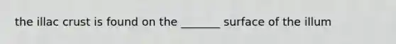 the illac crust is found on the _______ surface of the illum