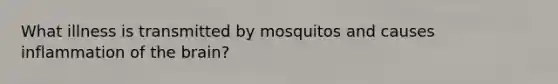 What illness is transmitted by mosquitos and causes inflammation of the brain?