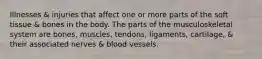 Illnesses & injuries that affect one or more parts of the soft tissue & bones in the body. The parts of the musculoskeletal system are bones, muscles, tendons, ligaments, cartilage, & their associated nerves & blood vessels.