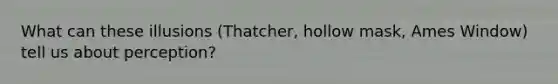 What can these illusions (Thatcher, hollow mask, Ames Window) tell us about perception?