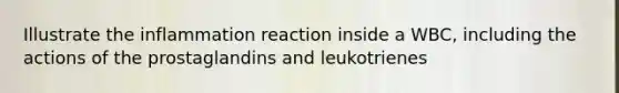 Illustrate the inflammation reaction inside a WBC, including the actions of the prostaglandins and leukotrienes