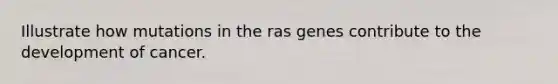 Illustrate how mutations in the ras genes contribute to the development of cancer.