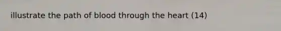 illustrate the path of blood through <a href='https://www.questionai.com/knowledge/kya8ocqc6o-the-heart' class='anchor-knowledge'>the heart</a> (14)