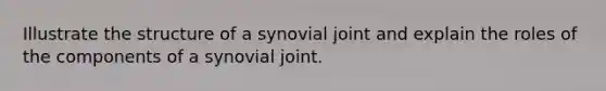 Illustrate the structure of a synovial joint and explain the roles of the components of a synovial joint.