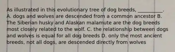 As illustrated in this evolutionary tree of dog breeds, __________. A. dogs and wolves are descended from a common ancestor B. The Siberian husky and Alaskan malamute are the dog breeds most closely related to the wolf. C. the relationship between dogs and wolves is equal for all dog breeds D. only the most ancient breeds, not all dogs, are descended directly from wolves