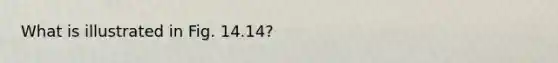 What is illustrated in Fig. 14.14?