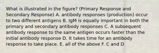 What is illustrated in the figure? (Primary Response and Secondary Response) A. antibody responses (production) occur to two different antigens B. IgM is equally important in both the primary and secondary antibody responses C. A subsequent antibody response to the same antigen occurs faster than the initial antibody response D. It takes time for an antibody response to take place. E. all of the above F. C and D