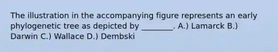 The illustration in the accompanying figure represents an early phylogenetic tree as depicted by ________. A.) Lamarck B.) Darwin C.) Wallace D.) Dembski