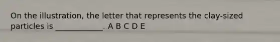 On the illustration, the letter that represents the clay-sized particles is ____________. A B C D E