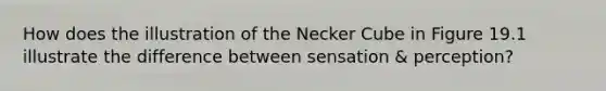 How does the illustration of the Necker Cube in Figure 19.1 illustrate the difference between sensation & perception?