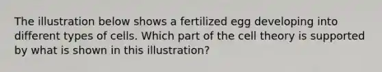 The illustration below shows a fertilized egg developing into different types of cells. Which part of the cell theory is supported by what is shown in this illustration?