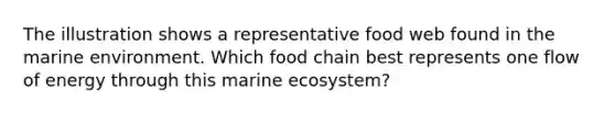 The illustration shows a representative food web found in the marine environment. Which food chain best represents one flow of energy through this marine ecosystem?