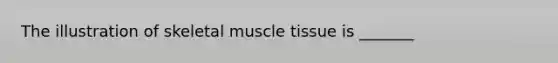 The illustration of skeletal muscle tissue is _______