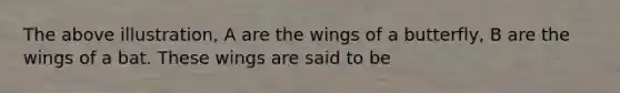 The above illustration, A are the wings of a butterfly, B are the wings of a bat. These wings are said to be