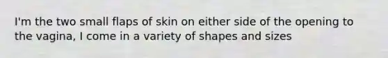 I'm the two small flaps of skin on either side of the opening to the vagina, I come in a variety of shapes and sizes