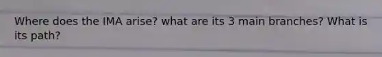 Where does the IMA arise? what are its 3 main branches? What is its path?