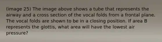 (image 25) The image above shows a tube that represents the airway and a cross section of the vocal folds from a frontal plane. The vocal folds are shown to be in a closing position. If area B represents the glottis, what area will have the lowest air pressure?