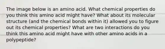 The image below is an amino acid. What chemical properties do you think this amino acid might have? What about its molecular structure (and the chemical bonds within it) allowed you to figure out its chemical properties? What are two interactions do you think this amino acid might have with other amino acids in a polypeptide?