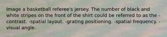 Image a basketball referee's jersey. The number of black and white stripes on the front of the shirt could be referred to as the -contrast. -spatial layout. -grating positioning. -spatial frequency. -visual angle.