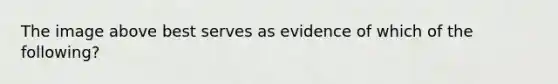 The image above best serves as evidence of which of the following?