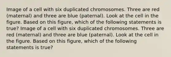 Image of a cell with six duplicated chromosomes. Three are red (maternal) and three are blue (paternal). Look at the cell in the figure. Based on this figure, which of the following statements is true? Image of a cell with six duplicated chromosomes. Three are red (maternal) and three are blue (paternal). Look at the cell in the figure. Based on this figure, which of the following statements is true?