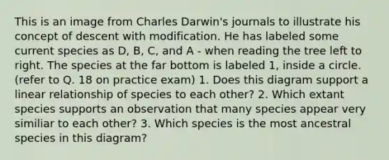 This is an image from Charles Darwin's journals to illustrate his concept of descent with modification. He has labeled some current species as D, B, C, and A - when reading the tree left to right. The species at the far bottom is labeled 1, inside a circle. (refer to Q. 18 on practice exam) 1. Does this diagram support a linear relationship of species to each other? 2. Which extant species supports an observation that many species appear very similiar to each other? 3. Which species is the most ancestral species in this diagram?