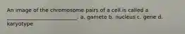 An image of the chromosome pairs of a cell is called a ___________________________. a. gamete b. nucleus c. gene d. karyotype