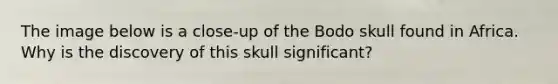 The image below is a close-up of the Bodo skull found in Africa. Why is the discovery of this skull significant?
