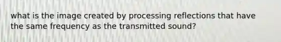 what is the image created by processing reflections that have the same frequency as the transmitted sound?