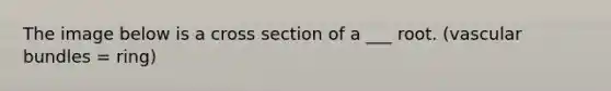 The image below is a cross section of a ___ root. (vascular bundles = ring)