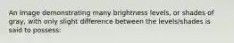 An image demonstrating many brightness levels, or shades of gray, with only slight difference between the levels/shades is said to possess: