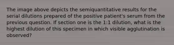 The image above depicts the semiquantitative results for the serial dilutions prepared of the positive patient's serum from the previous question. If section one is the 1:1 dilution, what is the highest dilution of this specimen in which visible agglutination is observed?