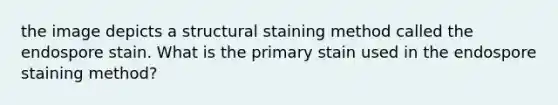 the image depicts a structural staining method called the endospore stain. What is the primary stain used in the endospore staining method?