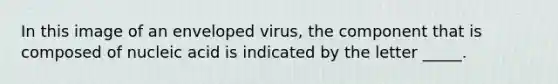 In this image of an enveloped virus, the component that is composed of nucleic acid is indicated by the letter _____.