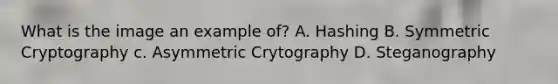 What is the image an example of? A. Hashing B. Symmetric Cryptography c. Asymmetric Crytography D. Steganography