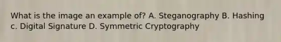 What is the image an example of? A. Steganography B. Hashing c. Digital Signature D. Symmetric Cryptography