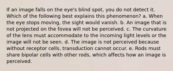 If an image falls on the eye's blind spot, you do not detect it. Which of the following best explains this phenomenon? a. When the eye stops moving, the sight would vanish. b. An image that is not projected on the fovea will not be perceived. c. The curvature of the lens must accommodate to the incoming light levels or the image will not be seen. d. The image is not perceived because without receptor cells, transduction cannot occur. e. Rods must share bipolar cells with other rods, which affects how an image is perceived.