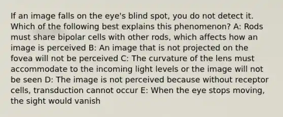 If an image falls on the eye's blind spot, you do not detect it. Which of the following best explains this phenomenon? A: Rods must share bipolar cells with other rods, which affects how an image is perceived B: An image that is not projected on the fovea will not be perceived C: The curvature of the lens must accommodate to the incoming light levels or the image will not be seen D: The image is not perceived because without receptor cells, transduction cannot occur E: When the eye stops moving, the sight would vanish