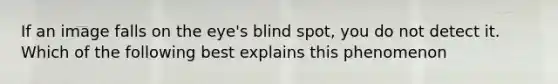 If an image falls on the eye's blind spot, you do not detect it. Which of the following best explains this phenomenon