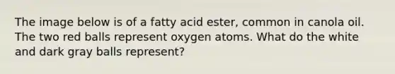 The image below is of a fatty acid ester, common in canola oil. The two red balls represent oxygen atoms. What do the white and dark gray balls represent?