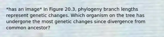 *has an image* In Figure 20.3, phylogeny branch lengths represent genetic changes. Which organism on the tree has undergone the most genetic changes since divergence from common ancestor?