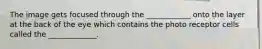 The image gets focused through the ____________ onto the layer at the back of the eye which contains the photo receptor cells called the _____________.
