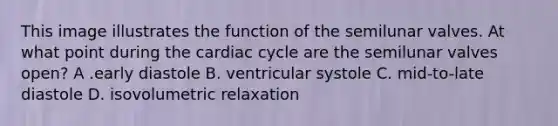 This image illustrates the function of the semilunar valves. At what point during the cardiac cycle are the semilunar valves open? A .early diastole B. ventricular systole C. mid-to-late diastole D. isovolumetric relaxation